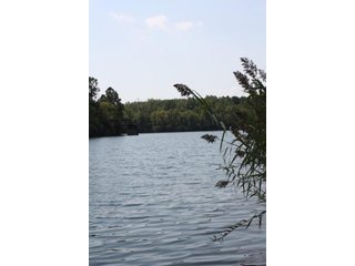 Property photo 61 - 419 +/- Acres offered in 6 Tracts, Land Auction